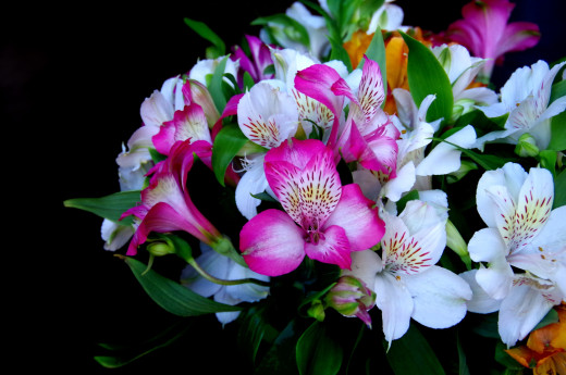 745690 (a): :2500x1655
